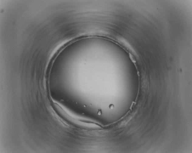 X0000076420932200610202216