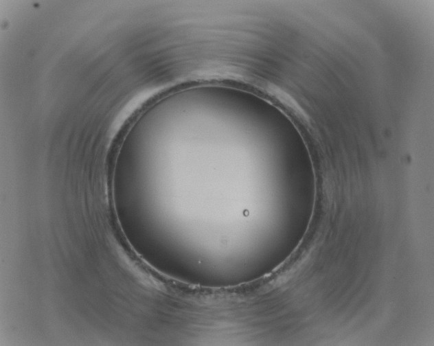 X0000076420934200610202216