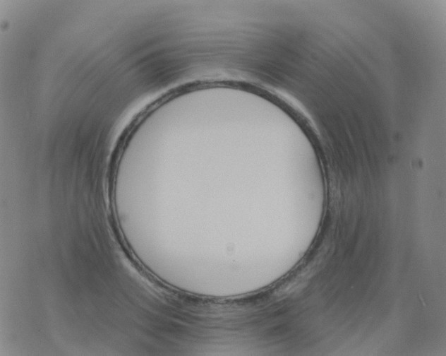 X0000076420935200610202216