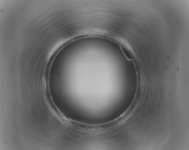 X0000076420936200610202216