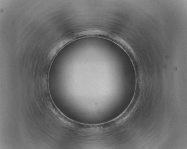 X0000076420937200610202216