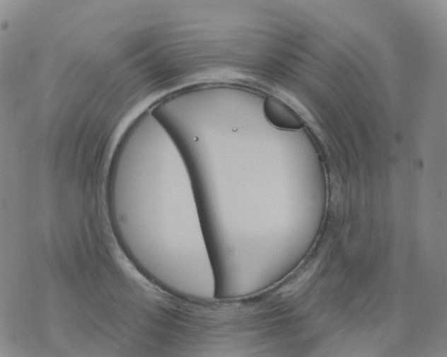 X0000076420939200610202216