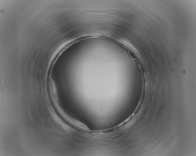 X0000076420940200610202216