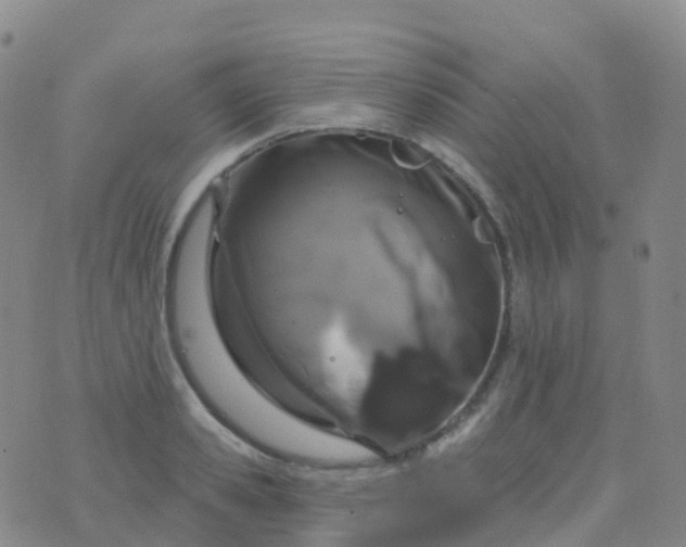 X0000076420941200610202216