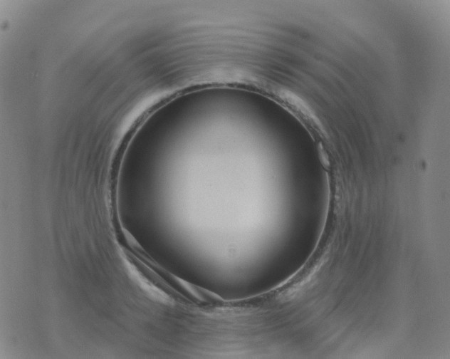 X0000076420942200610202216