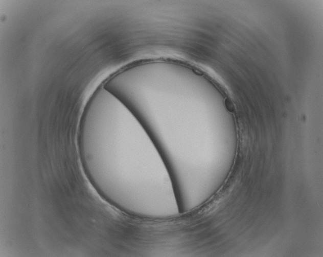 X0000076420943200610202216