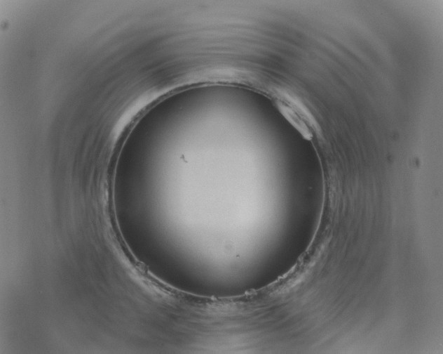 X0000076420944200610202216