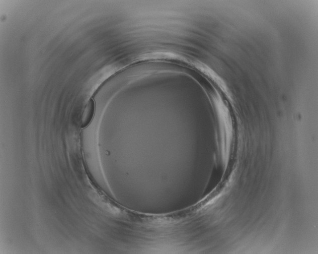 X0000076420945200610202216