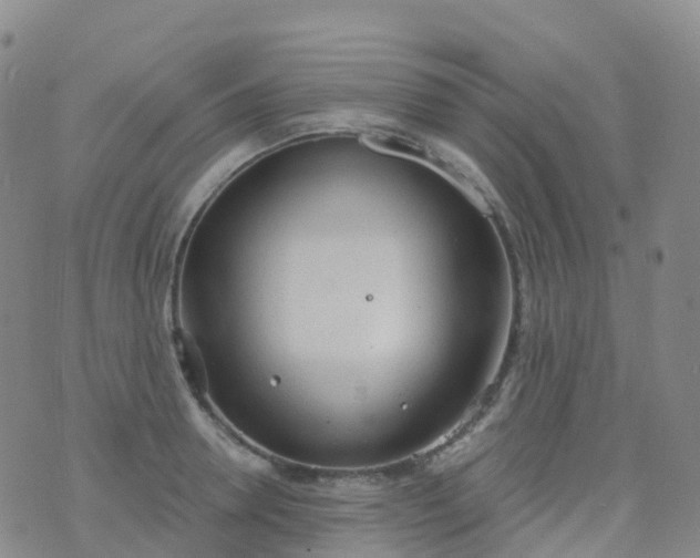 X0000076420946200610202216