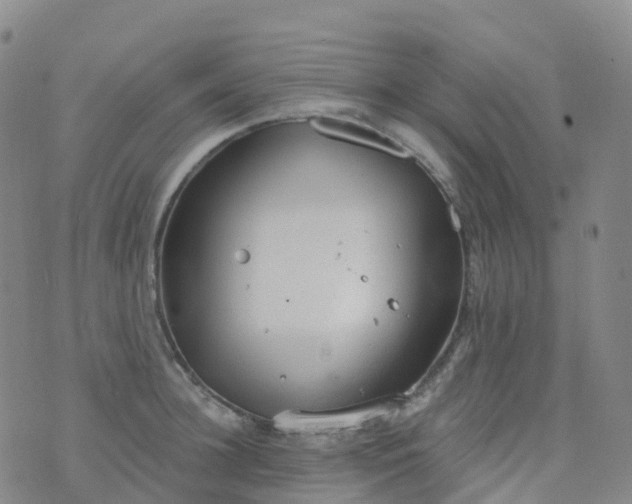 X0000076420948200610202216