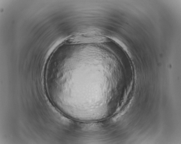 X0000076420949200610202216