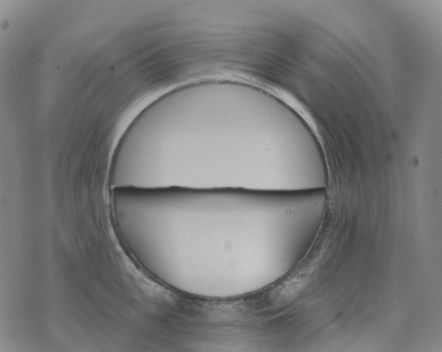 X0000076420951200610202216