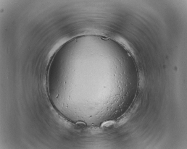 X0000076420952200610202217