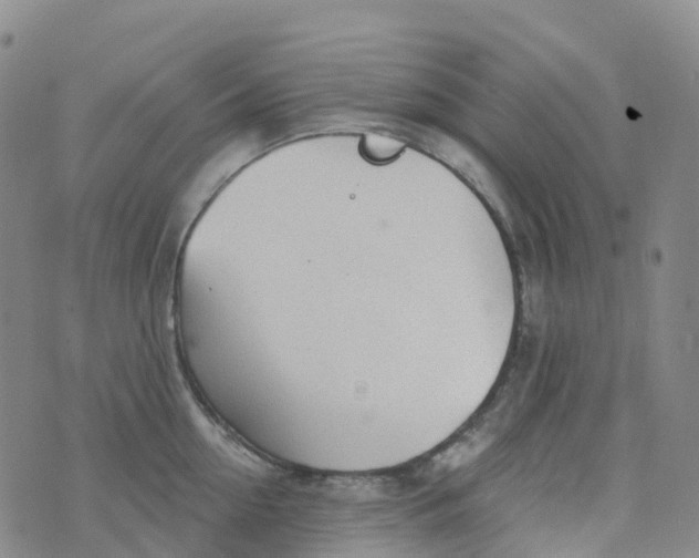 X0000076420954200610202217