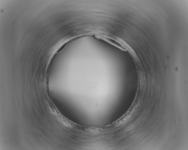 X0000076420956200610202217