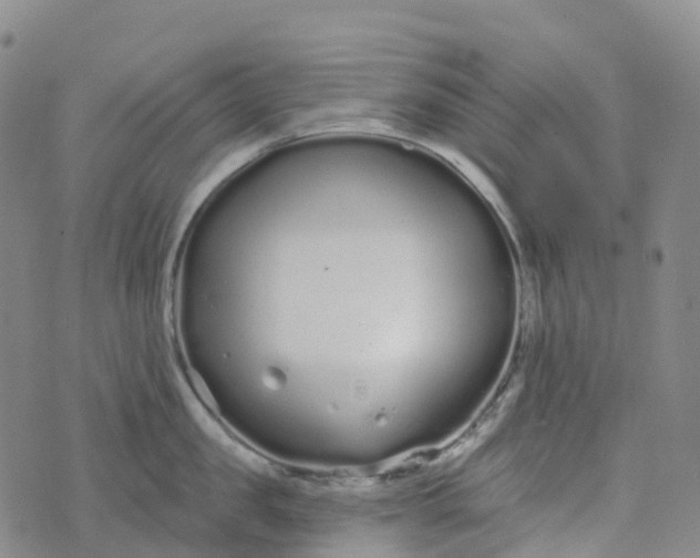 X0000076420957200610202217