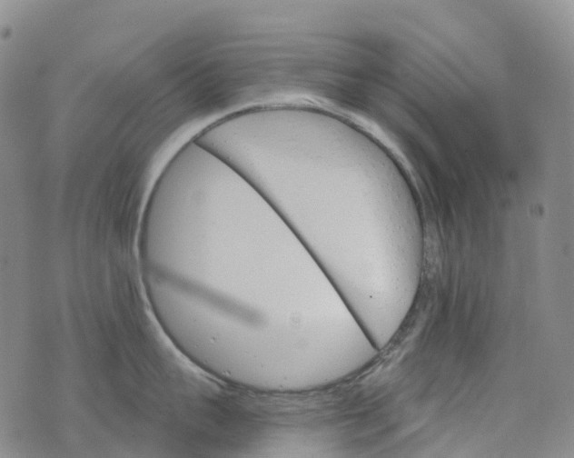 X0000076420959200610202217