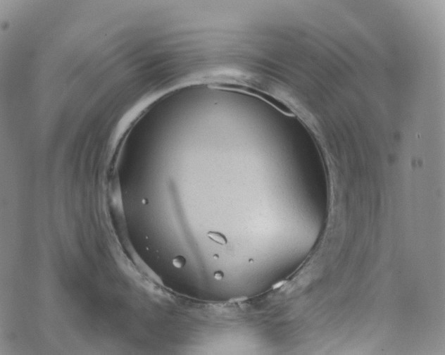 X0000076420960200610202217