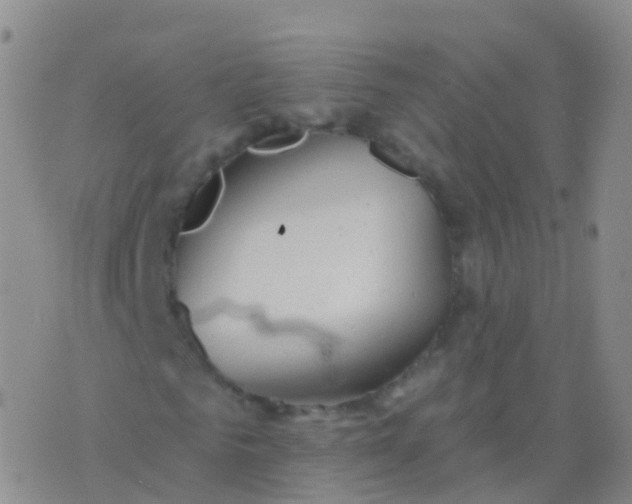 X0000076420961200610202216