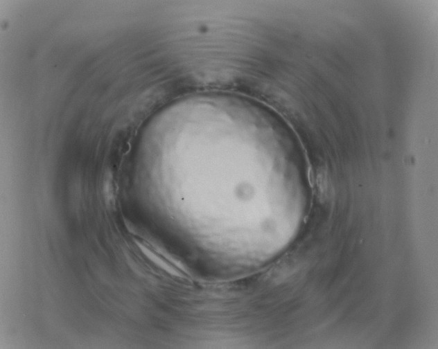 X0000076420963200610202216