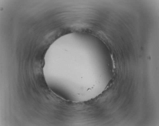 X0000076420964200610202216