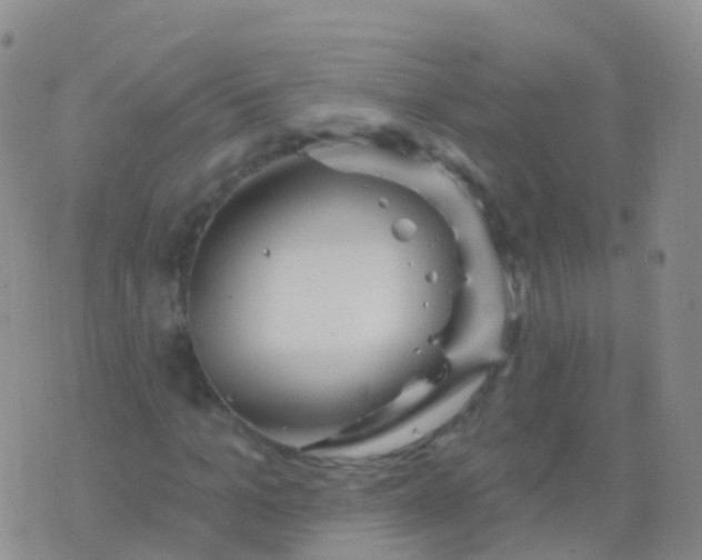 X0000076420965200610202216