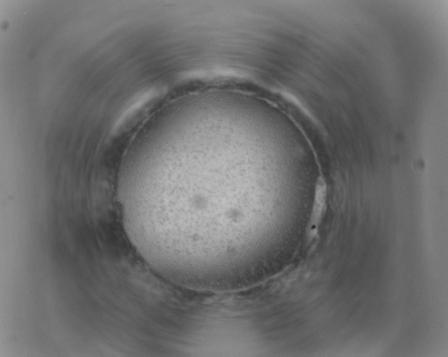 X0000076420967200610202216