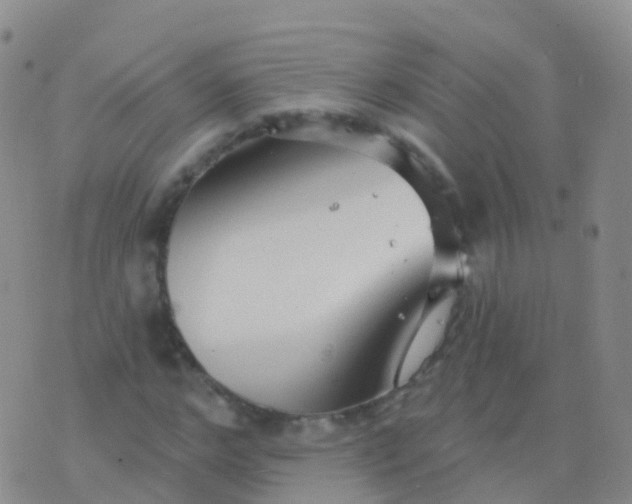 X0000076420968200610202216