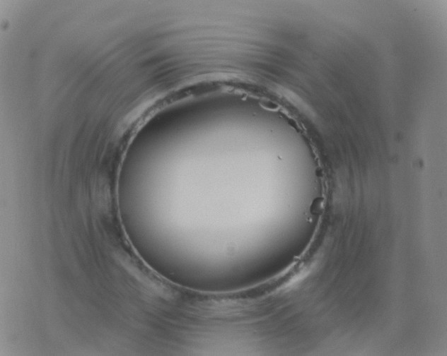 X0000076420969200610202216