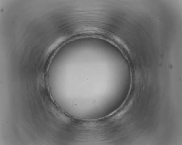 X0000076420970200610202216