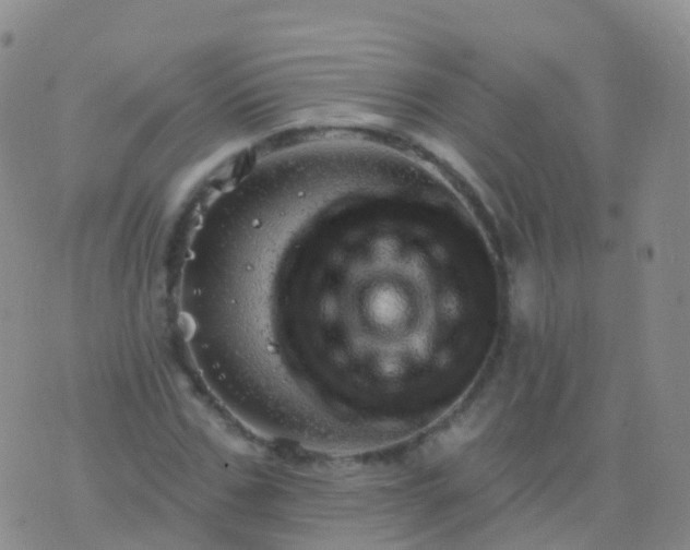 X0000076420971200610202216