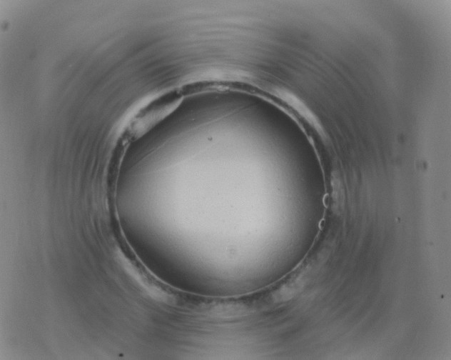 X0000076420972200610202216