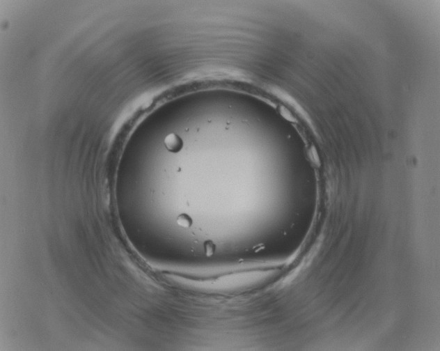 X0000076420973200610202216