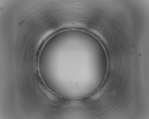 X0000076420974200610202216