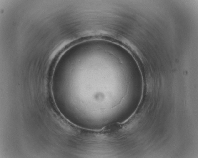 X0000076420975200610202216