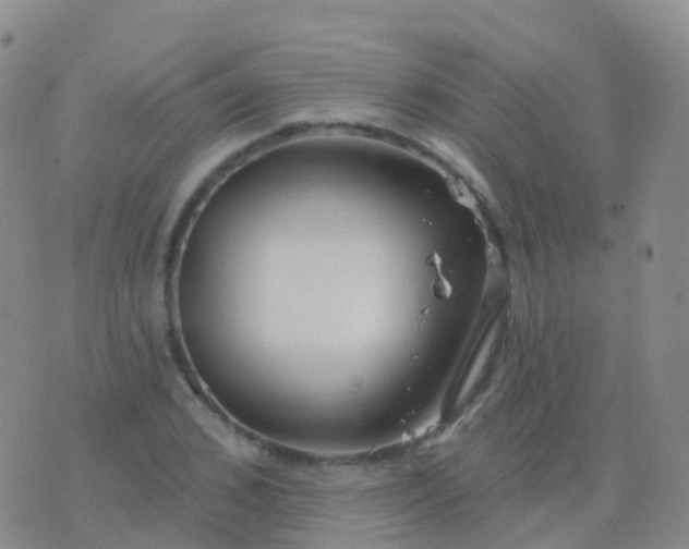 X0000076420976200610202216