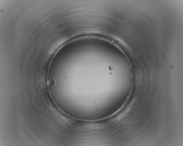 X0000076420977200610202216