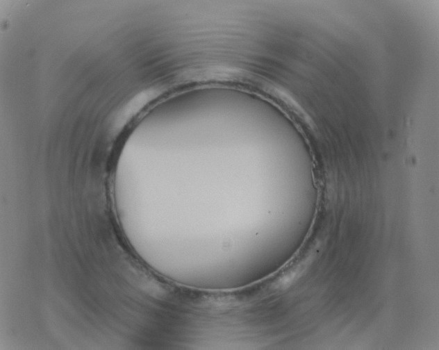 X0000076420978200610202216