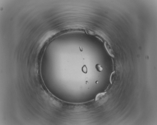 X0000076420979200610202216