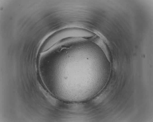 X0000076420980200610202216