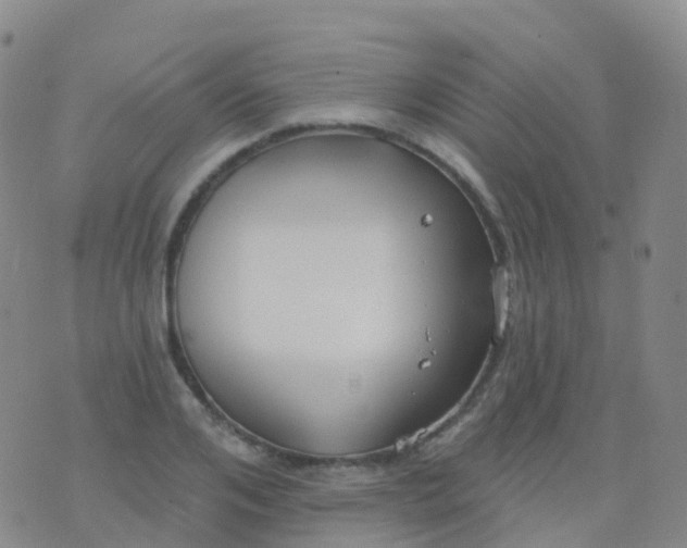 X0000076420984200610202215