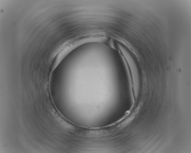 X0000076420985200610202215