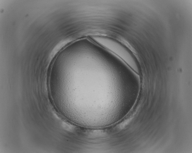 X0000076420986200610202215