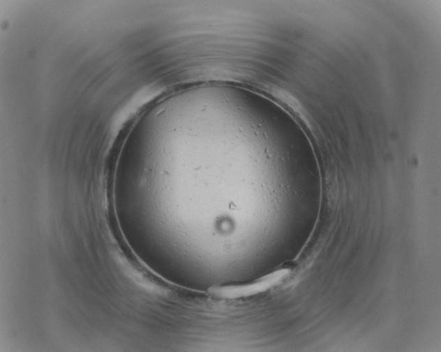 X0000076420987200610202215