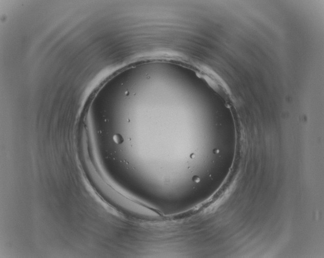 X0000076420989200610202215