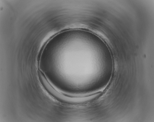 X0000076420990200610202215