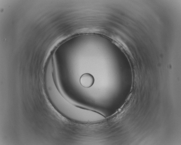 X0000076420992200610202215