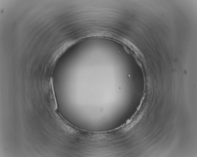 X0000076420993200610202215