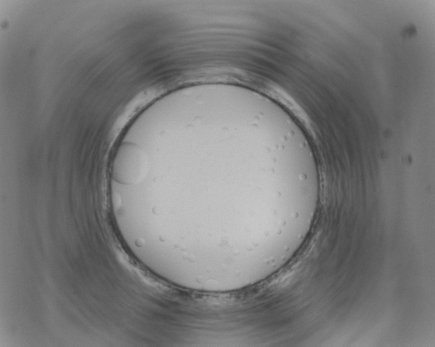 X0000076420994200610202215