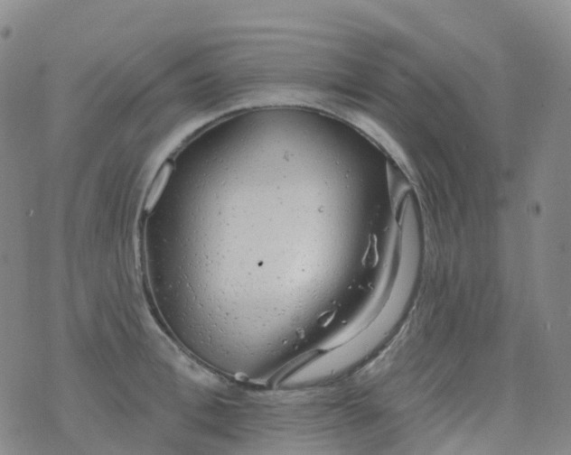 X0000076420996200610202215